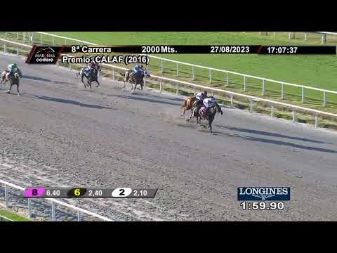 230827 c08 BENJAMINA