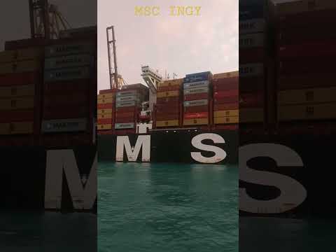 MSC INGY