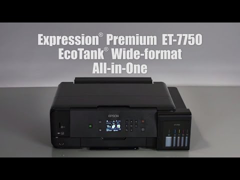 low spec experience premium low spec experience premium