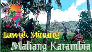 Download lagu lawak minang terbaru 2020 !!! Maliang karambia | Ds Rafia official mp3
