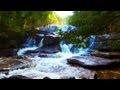 Beautiful Waterfall Compilation with Music 