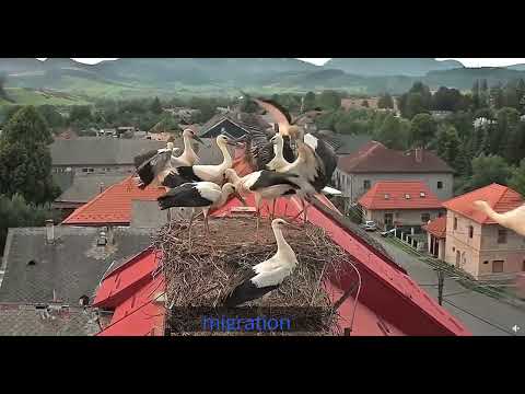 Partizánska Ľupča, SK  2022.08.08.