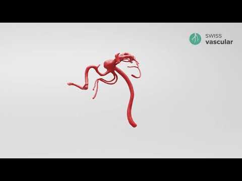 Brain Awareness Week 2024: Angie with Fabian Landers