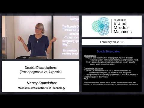 2.14 - Double Dissociations (Prosopagnosia vs. Agnosia)