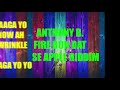 Anthony B    Fire Bun Dat                         Rose Apple Riddim          CEV
