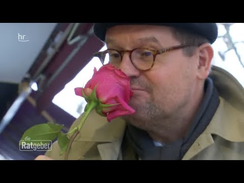 Geruchssinn verloren – Können Betroffene das wieder lernen? | Ratgeber