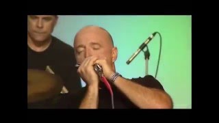 The Fabulous Thunderbirds &#39;Live&#39;- Early Every Morning