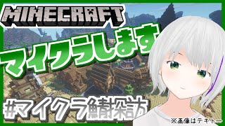 🔴【参加型｜初見歓迎】スタッフとハイピ行くことになりました【Hypixel】