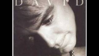 DAVID CASSIDY DIDN&#39;T YOU USED TO BE
