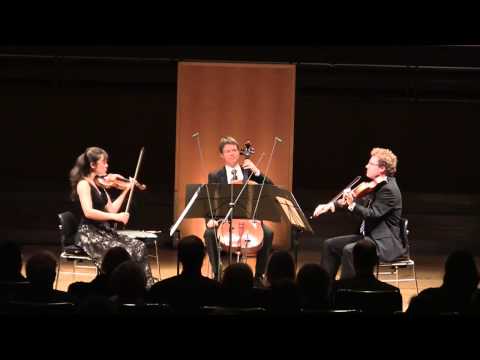 Webern String Trio op.20