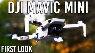 DJI Mavic Mini Fly More Combo CP.MA.00000123.01 B&H Photo Video