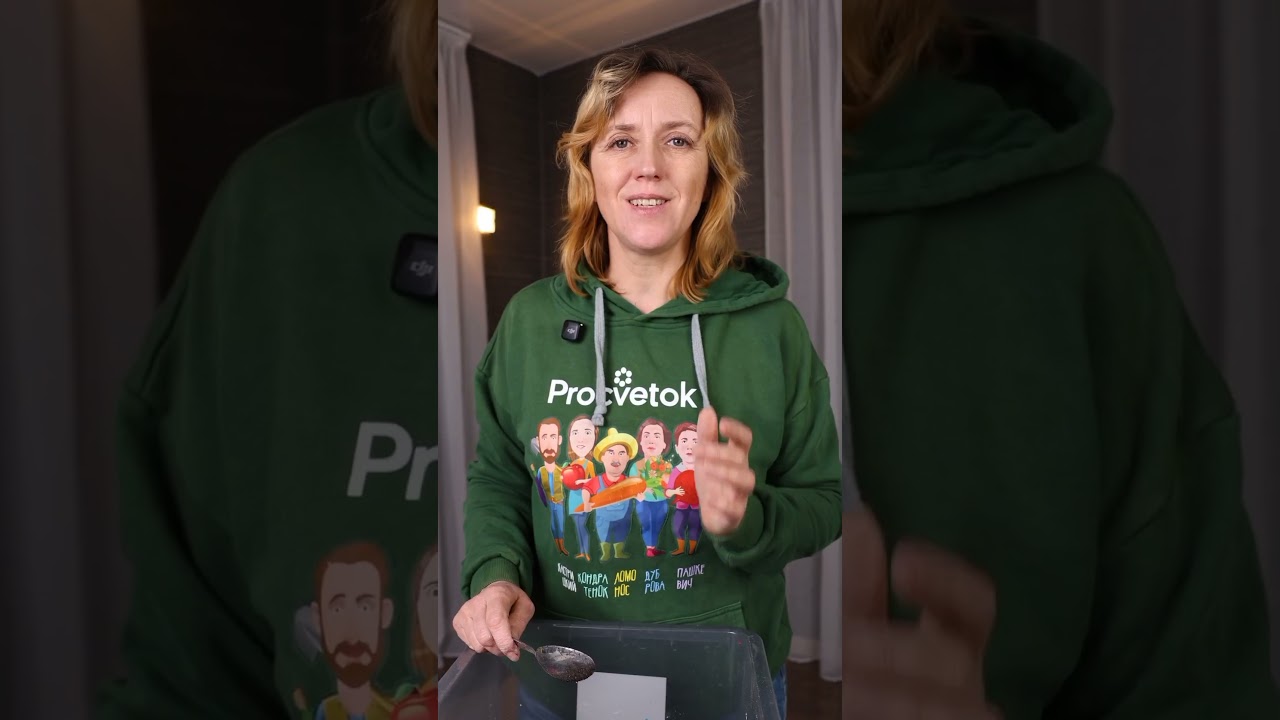 Желтеют и опадают листья замиокулькаса? Срочно нужна пересадка! Вмиг зазеленеет и распушится