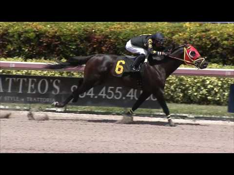 Gulfstream Park Replay Show | July 31, 2016
