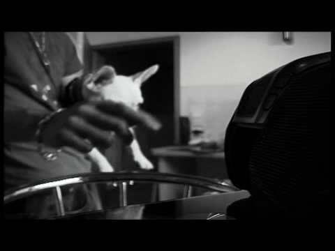 Jonny Beretta feat Dj Meks - D-Town Düsseldorf (Meine Hood)