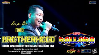 Download lagu RAIB (BUNGA DESA) BAMS MC - NEW PALLAPA - LIVE BROTHERHOODS 2023 mp3