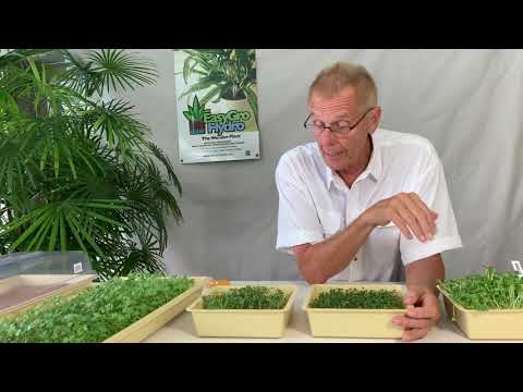 image-How long does it take to grow microgreens at home?