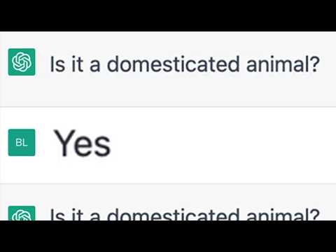 AI's attempt at 20 questions... 😭