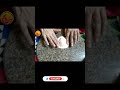 how to wrap momos | momos folding techniques | how to fold momos