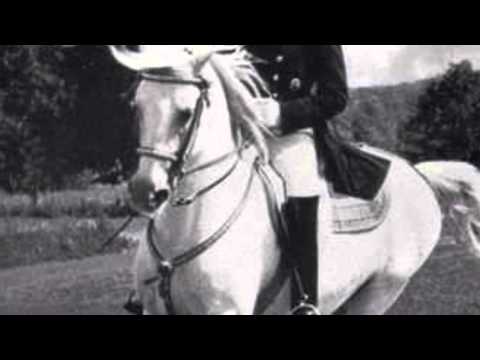 Reitwebinar m 16.9.2013 Der Reitsitz