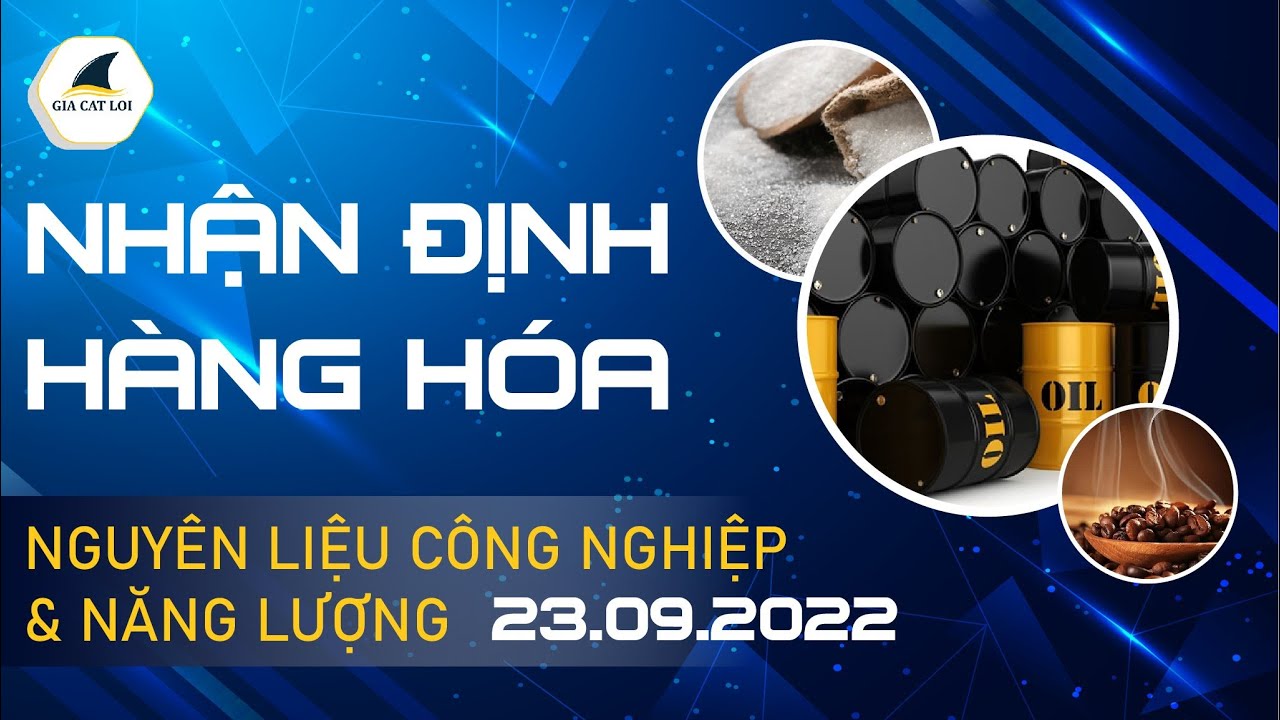 Nhận Định Thị Trường Năng Lượng & Nguyên Liệu Công Nghiệp Ngày 23/09/2022