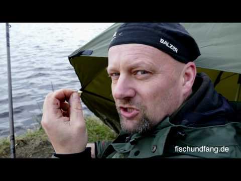 Matze Koch: Feedern mit Hindernissen - Matzes Mätzchen 03-2017