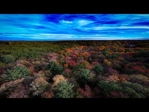 🍁 October 2025 Fall Foliage 4K Drone Views of the Reading Town Forest in Reading, Massachusetts 🌳