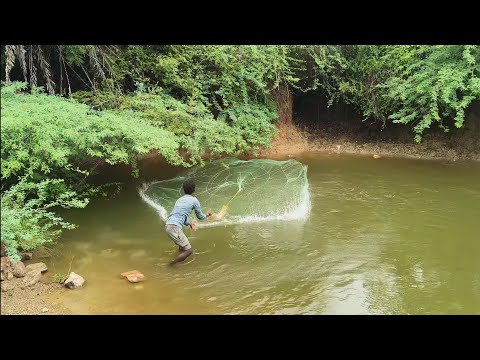 Epic Fishing in Canal with Net – Big Catch!