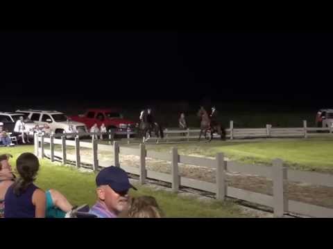 Parker's Crossroads Racking 2015