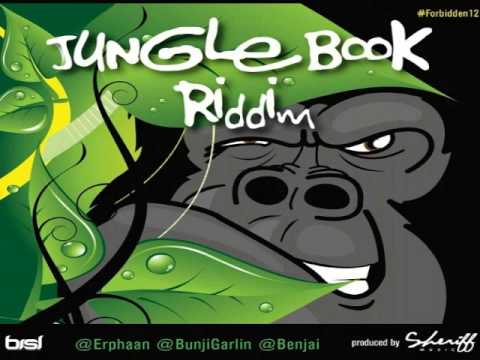 Jungle Book Riddim Mix - Threeks (Benjai, Erphaan Alves, Bunji Garlin)