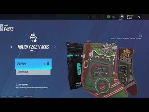 *NEW* Christmas Alpha Pack Openings Leaked Y6S4 Operation High Calibre