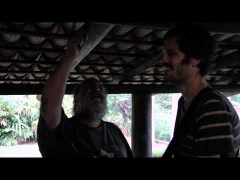 Momento "GARGA"   Pau no gato