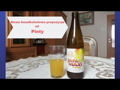 Pinta - Mini Maxi (Fruit Ale)
