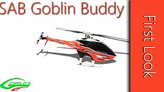 SAB Goblin Buddy 380 RC Helicopter First Look