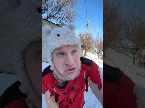 КОГДА КОРМИШЬ УЛИЧНОГО КОТА (смешное видео, юмор, приколы, поржать)