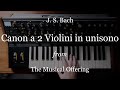 Canon a 2 Violini in Unisono from Bach's Musical Offering, layer by layer!