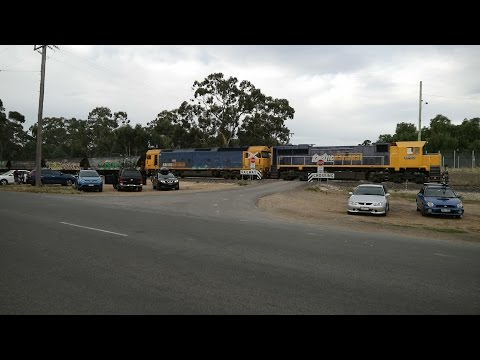 Pacific National XR553 and G525 heads a grain train. Maryborough Victoria