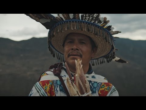 Wirikuta | ft. Iyakuh, Jakare, J. Pool, @uma-sai​ {Indigenous Folktronica}