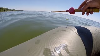 Летняя рыбалка на кременчугском водохранилище