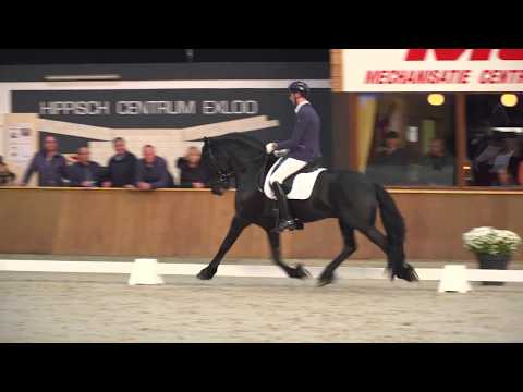 Tiede 501 (Alwin 469 x Loadewyk 431)