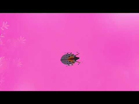 Cat Games — Games For Cats: BIG BUG on Pink for cat on screen