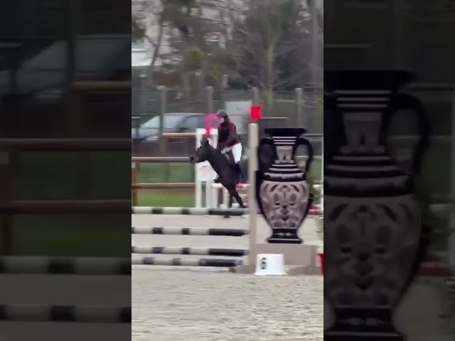 Litchy, ponette D sortie en concours