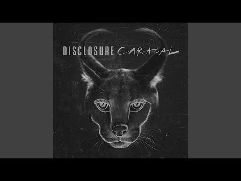 download lagu mp3 mp4 Afterthought Disclosure, download lagu Afterthought Disclosure gratis, unduh video klip Afterthought Disclosure