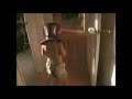 American Accidents AFV OrangeCabinet