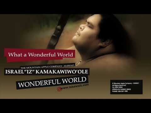 Video Wonderful World (Audio) de Israel Kamakawiwo'ole