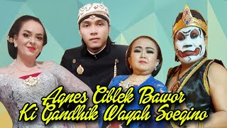 Download lagu Agnes Serfozo Bawor Ciblek - Soegino Laras Sesi Limbukan mp3