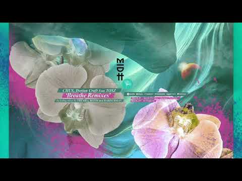 DJ Chus, Dorian Craft - Breathe feat. TOSZ (THEMBA Remix) MIDH Premiere
