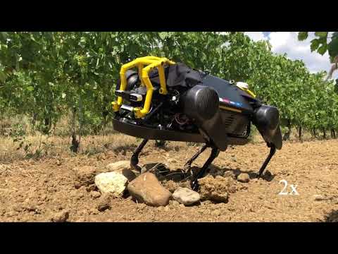 HyQReal Review Video 3