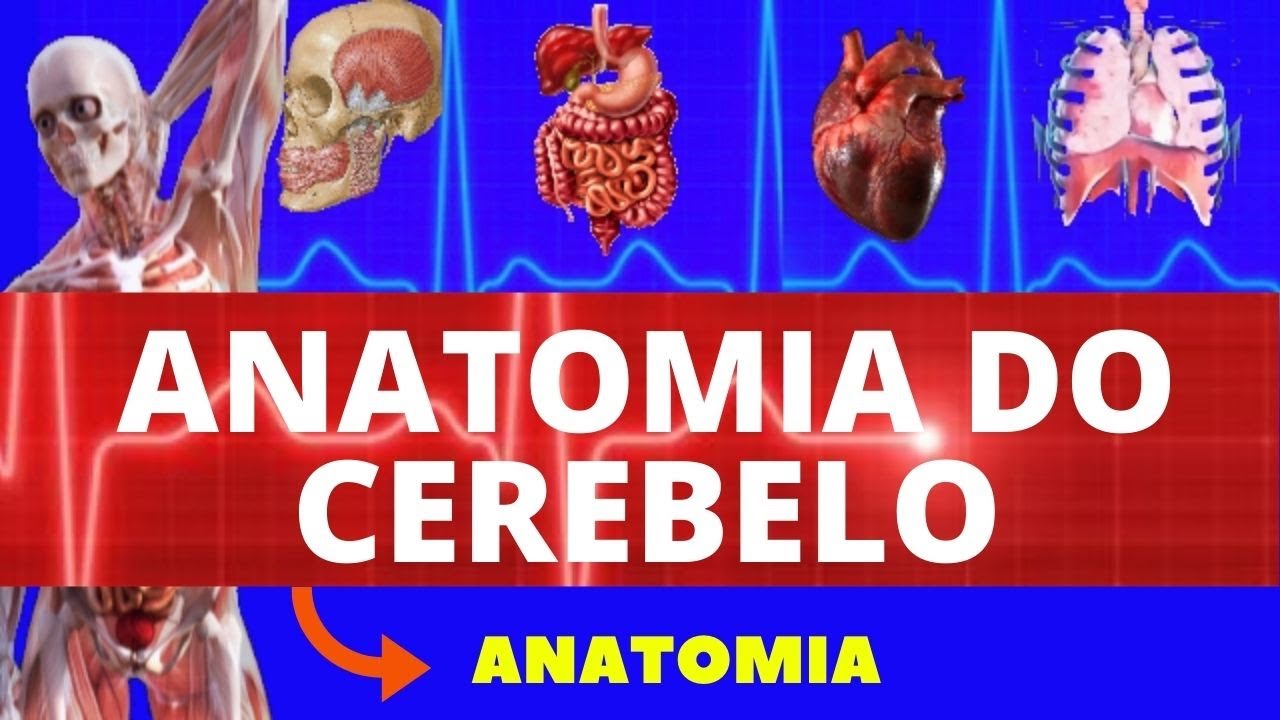 ANATOMIA DO CEREBELO (ANATOMIA HUMANA) - ENSINO SUPERIOR - NEUROANATOMIA - ESTRUTURAS DO CEREBELO