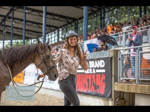 Mustang Makeover 2017 - Eröffnung und TRAIL CHALLENGE - Tanja&Naira
