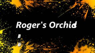 Its The 8th - All the Orchids in Bloom on This Day